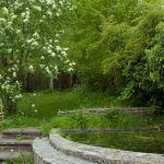 The Garden Pond