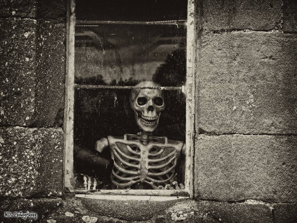 Skeleton by Matt Lewis Skeleton by Matt Lewis